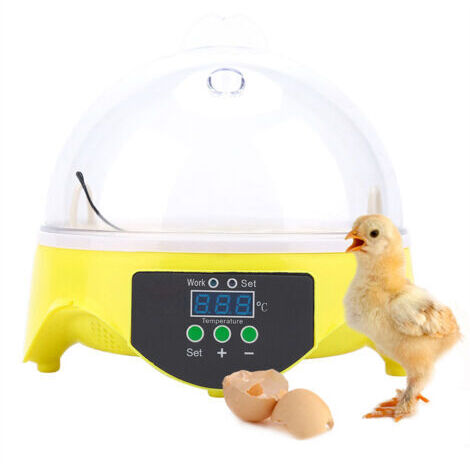Mini incubateur numérique pour 7 œufs de poules, canards et autres oiseaux (kit d'outils)