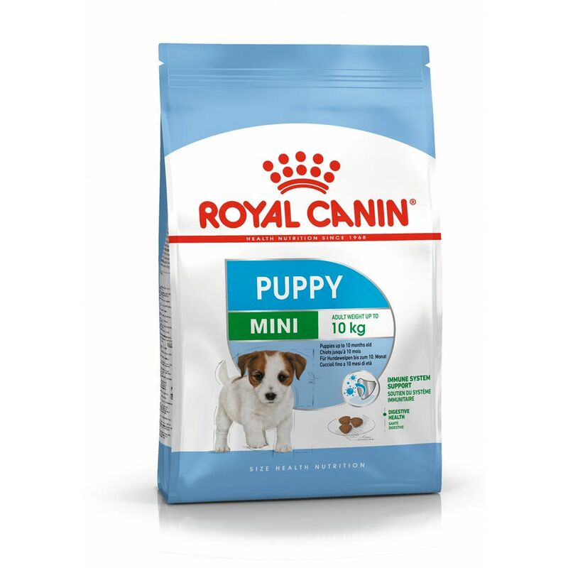 Royal Canin - Croquettes Chiot Mini Junior : 2 kg