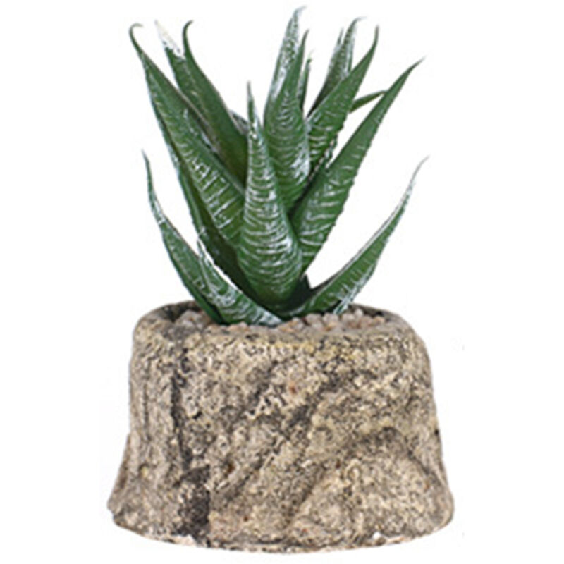 

Asupermall - Mini maceta de simulacion de plantas suculentas frescas, bonsais de plantas en maceta de emulacion, aloe