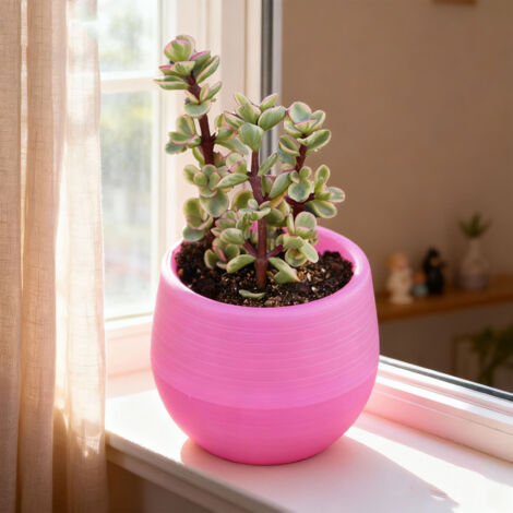 Mini maceta, jardinera para suculentas, plántulas y flores, diseño con rosa roja para balcón, patio, jardín, oficina.