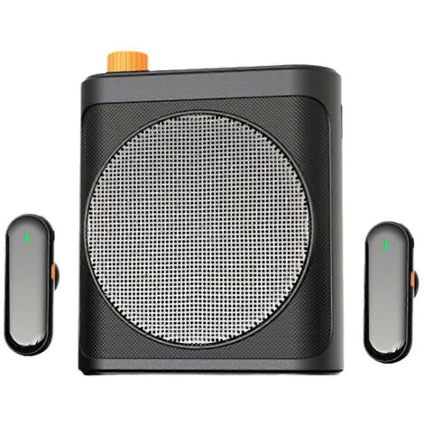 Mini microphone-haut-parleur sans fil pour enseignants et guides touristiques