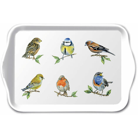 Mini plateau vide poche 20.5 x 13.5 cm - oiseaux