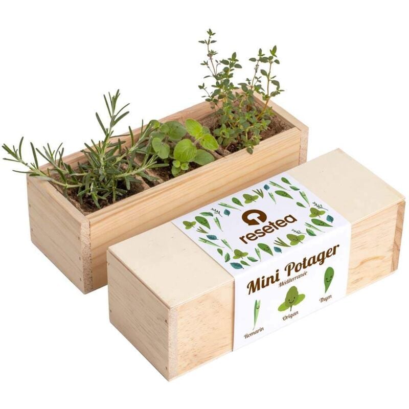 Mini potager d'herbes aromatiques Méditérannée