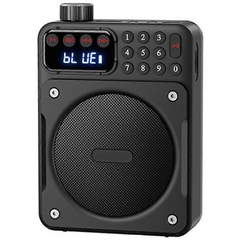Mini radio FM portable avec batterie rechargeable amovible, noire