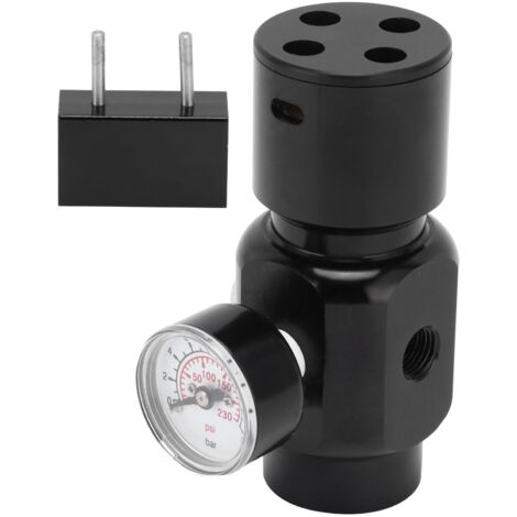 Mini Régulateur CO2 Inox Portable pour Fût de Bière Maison