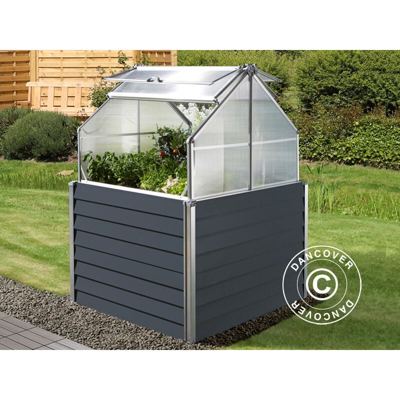 Dancover - Mini serre 1,2x1,2x1,69m, 1,44m², Anthracite - Anthracite