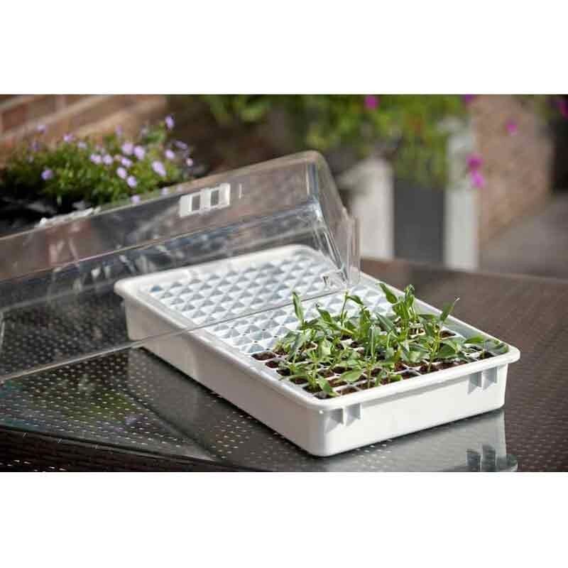 Jeu de propagateur 55 x 31 x 22 cm Nature