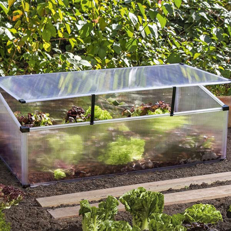 Mini serre de jardin Feronia 0,60 m² en polycarbonate 4 mm et toit ouvrant