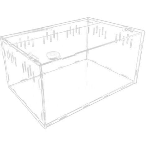 FITAGS Mini terrario, vasca per rettili in acrilico, vasca per rettili svuotabile, vasca per rettili trasparente per pesci spinoso, lumache, tappi per le orecchie, frutta congelata, ecc.