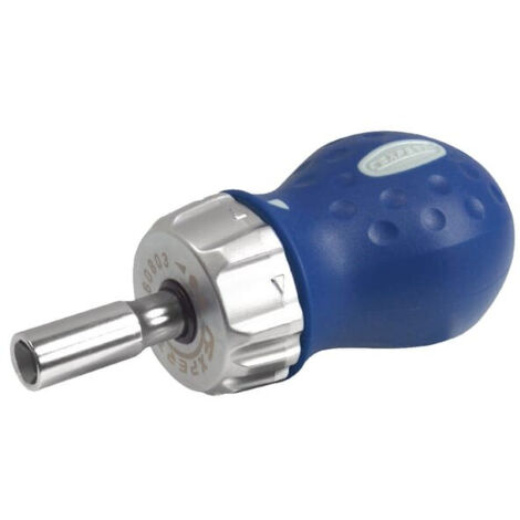 Mini tournevis porte-embout à cliquet avec 3 embouts SL, PH2, PZ2 - Expert