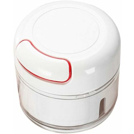 Mini tritatutto magnetico multifunzionale per verdure, macinapepe in acciaio inossidabile, frantoio per zenzero per cucina: Casa e cucina