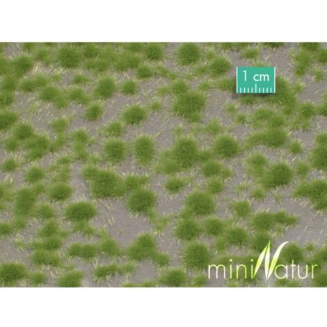 Mininatur 717-21 S Touffe dherbe rase printemps