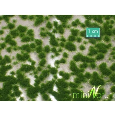 Mininatur 717-22 S Touffe dherbe rase été