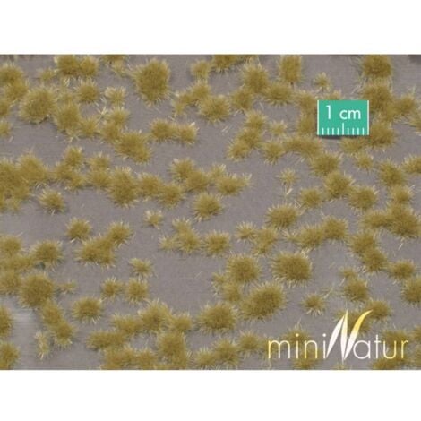 Mininatur 717-24 S Touffe dherbe rase fin dautomne