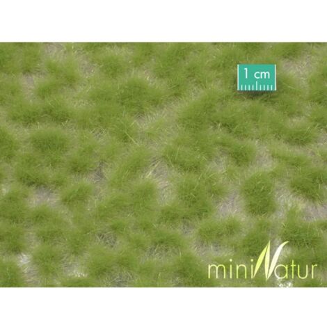 Mininatur 727-21 S Touffe dherbe haute printemps