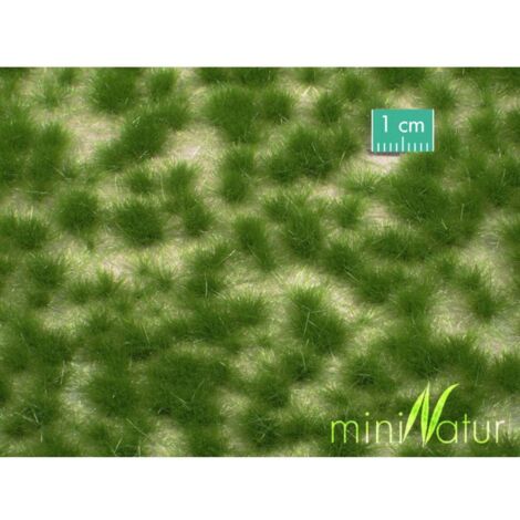 Mininatur 727-22 S Touffe dherbe haute été