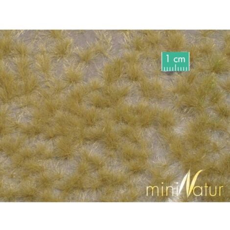 Mininatur 727-24 S Touffe dherbe haute fin dautomne