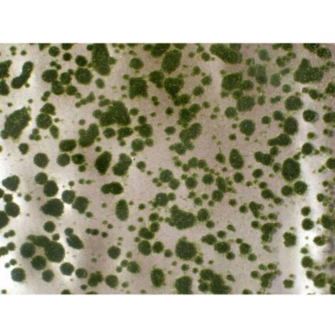 Mininatur 747-22 S Coussin en mousse été