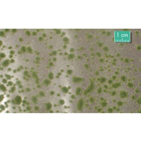 Mininatur 747-23 S Coussin en mousse début dautomne