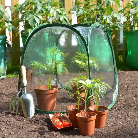 MiniPol Pop Up Mini Greenhouse - 50 x 50 x 50cm