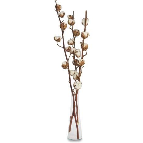 Cotone Essiccati Fiori Di Cotone Steli Di Cotone Fiori Artificiali In Cotone  Rami Decorativi Fiori Finti Per Decorazioni Interno Rami Decorativi Per  Bouquet Fiori Secchi Rami Secchi Decorativi, 20PCS : : Casa