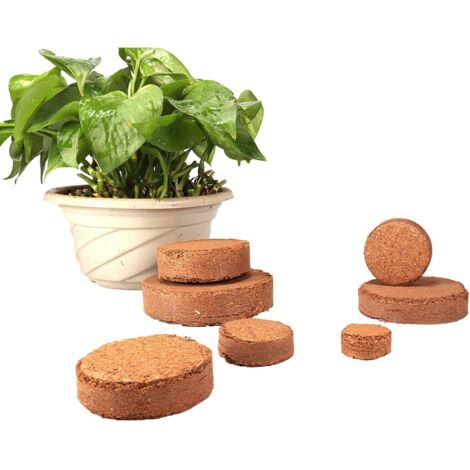 MINKUROW 50 Stück Kokosnussschalenfaser-Nährblöcke zum Eintopfen von Pflanzen, 50 mm x 15 mm