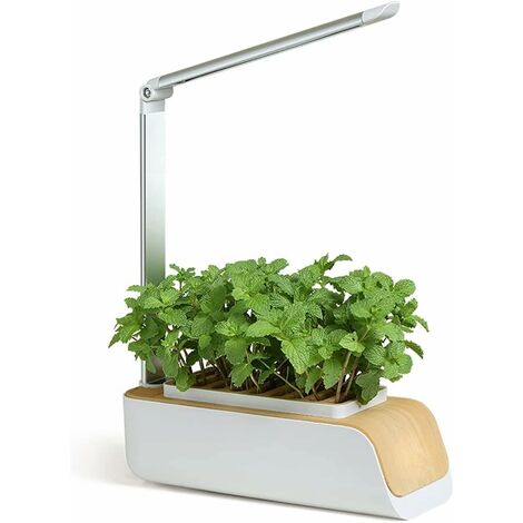 MINKUROW Automatischer Indoor-Gemüsegarten – Hydroponischer Garten – 100 % Bio-Samen – Geschenkidee für die Gartenarbeit