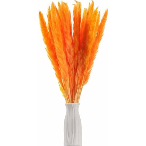 MINKUROW Bcc 15er-Pack getrocknete Pflanzen (55 cm), natürliche Blumenakzessionen, Blumensträuße, Dekoration für Boho-Häuser, Schlafzimmer, Wohnzimmer, Badezimmer, Objekte, moderne Hochzeiten, 55 cm, 