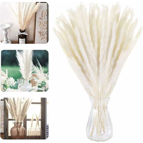 MINKUROW Natürliches getrocknetes kleines Pampasgras, 30 Stück Phragmites Communis Dekoration, künstliche getrocknete Blumen, natürliches Pampasgras, zum Fotografieren von Blumen, Hochzeit, Heimdekora