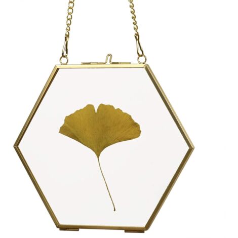 MINKUROW Wandbehang Glasrahmen für gepresste Blumen – Glasrahmen für Fotos, Karten, Poster, Urkunden, 12 cm sechseckig