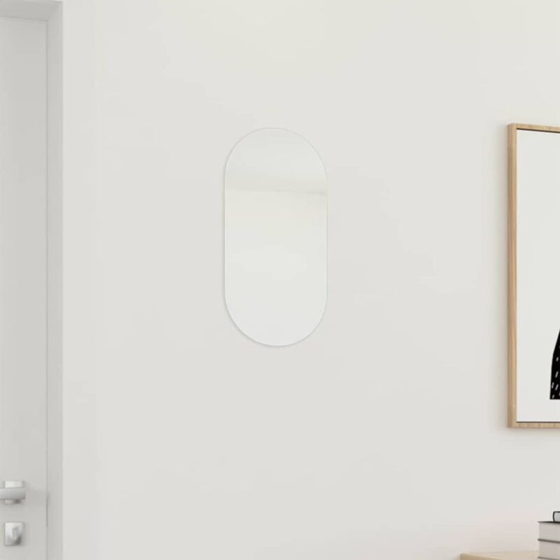 Miroir 40x20 cm Verre vidaXL