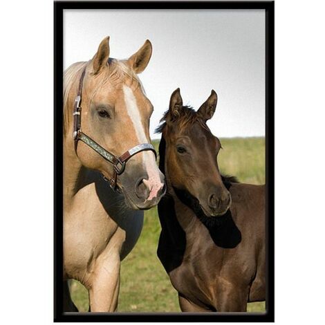 Miroir à suspendre portait de cheval