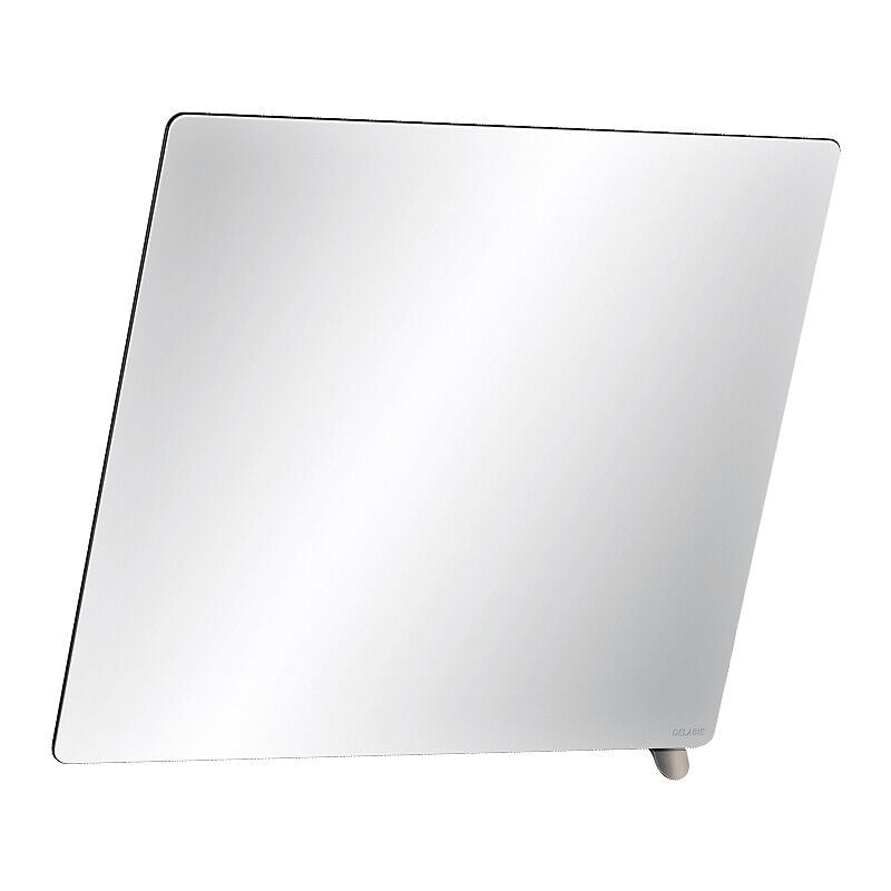 Delabie - Miroir de toilette verre 500 x 600 mm inclinable avec poignée en chromé brillant