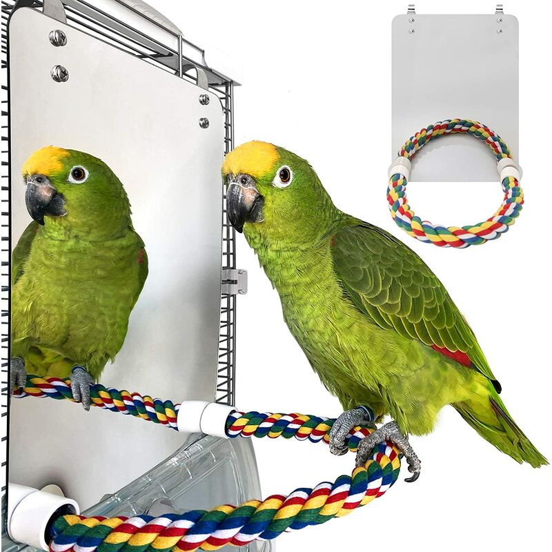 Perle Rare - Miroir à oiseaux en acier inoxydable avec support haut pour perroquet, adapté aux petits perroquets, grands