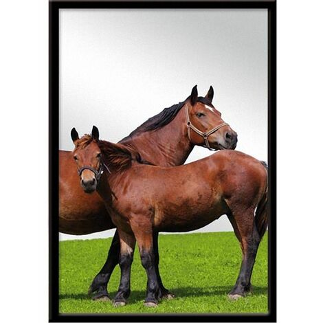 Miroir rectangulaire cheval