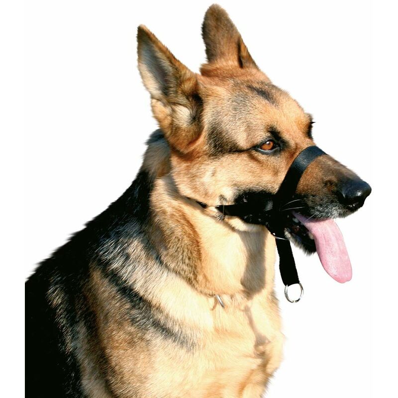 MIS.5 museau: Muselière de dressage en nylon pour chiens