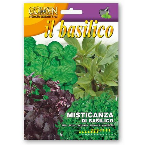 Misticanza di Basilico (Semente)