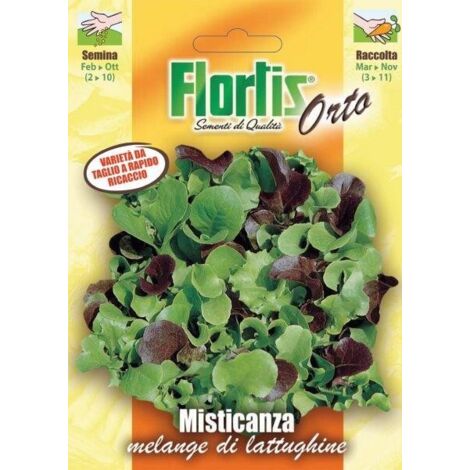 MISTICANZA MELANGE LATTUGHINE