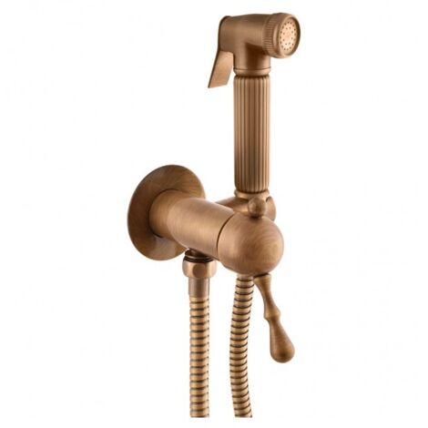 Mitigeur bidet, toilettes LABE à encastrer avec douchette en laiton bronze