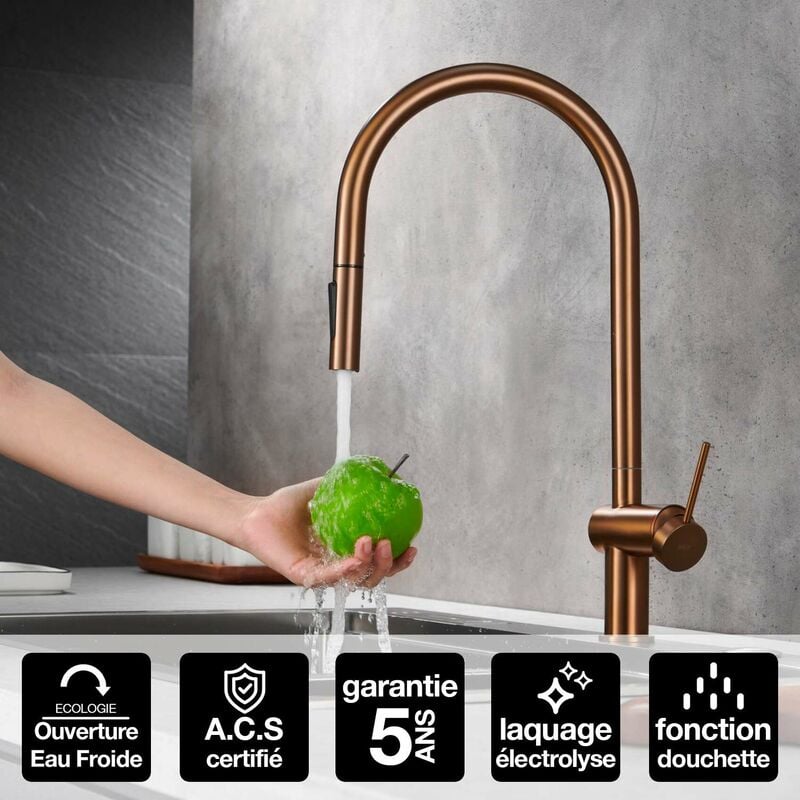 Imex Products - Robinet Mitigeur de Cuisine anti-calcaire avec Douche anti-calcairette Or Rose imex berna GCE026/ORC