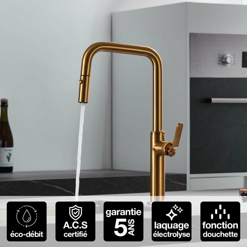 Imex Products - Robinet Mitigeur de Cuisine anti-calcaire avec Douche anti-calcairette Or Brossé imex niza GCE027/OC