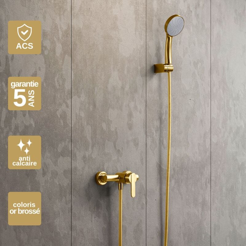 Mitigeur de Douche anti-calcaire Or Brossé imex roma BDR001-5OC