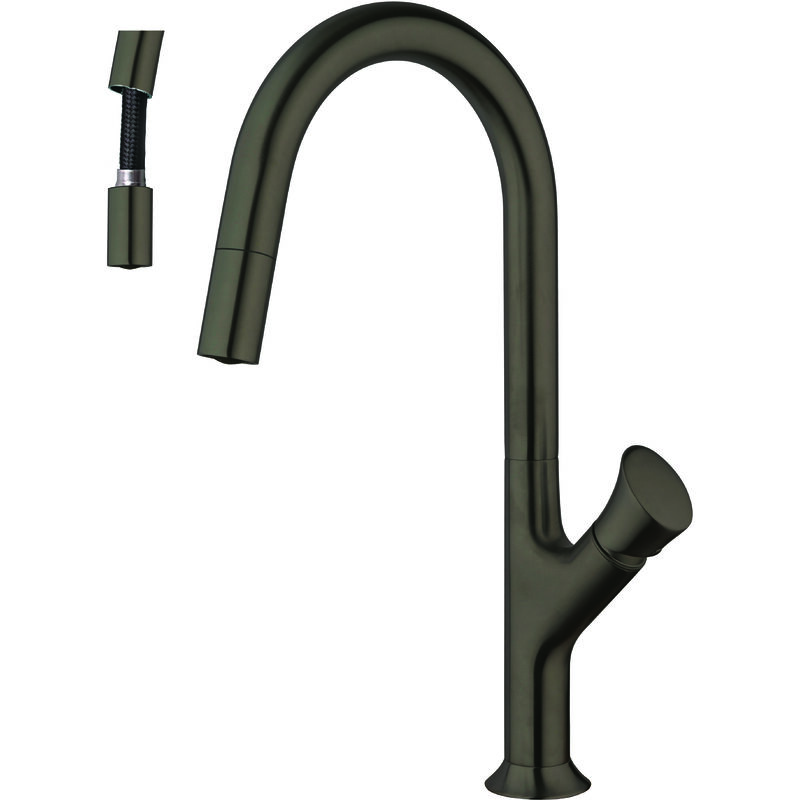 Paini France - Mitigeur Tropic à douchette extractible pvd Noir Mat Brossé