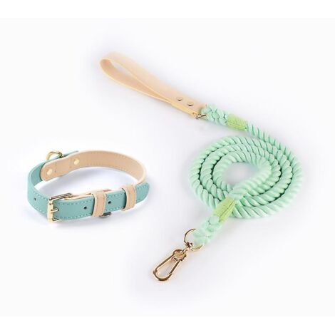 Mittellanges Halsband + 120 cm Leine, hochwertiges Lederhalsband für Hunde – Hundehalsband aus Kalbsleder – Lederhalsband