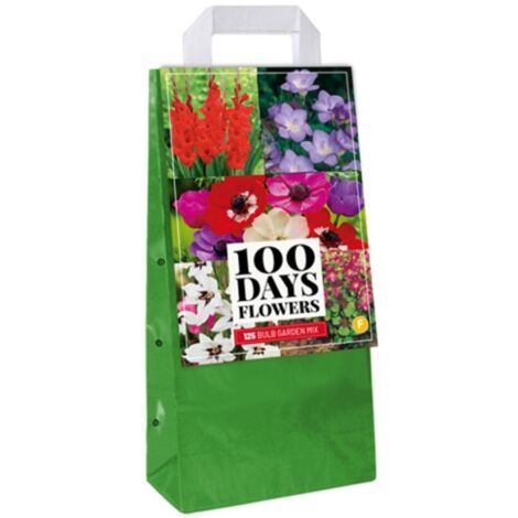 Mix 125 Bulbes de fleurs à planter Multicolore