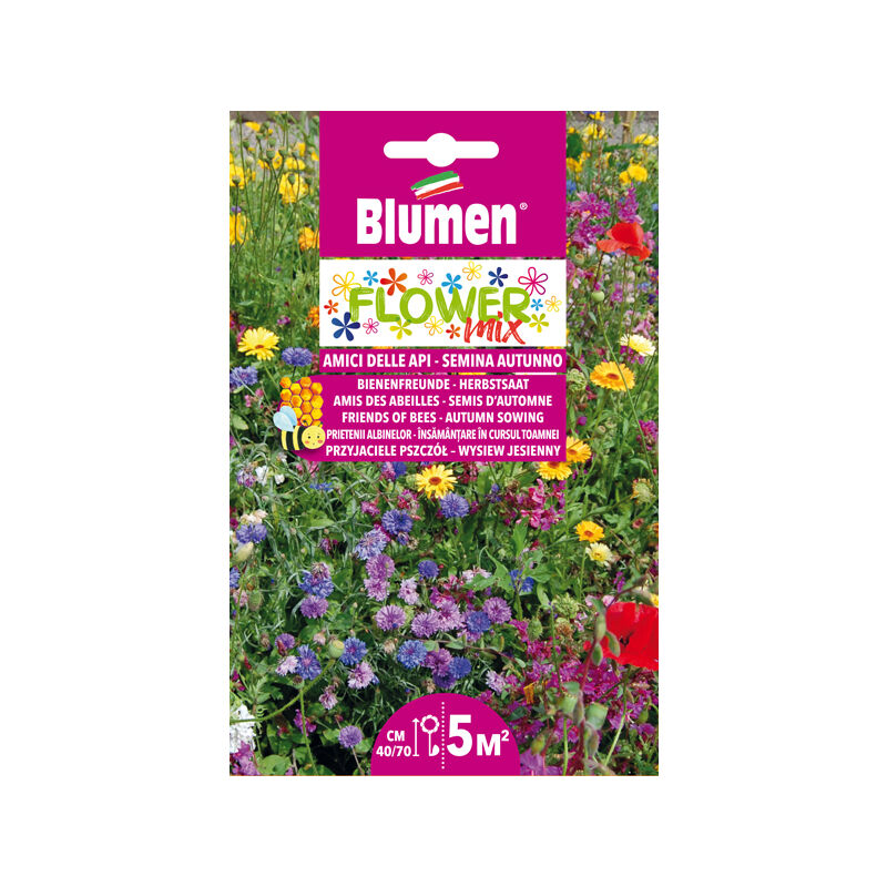Blumen - bee friendly mix fleurs semis en haute automne