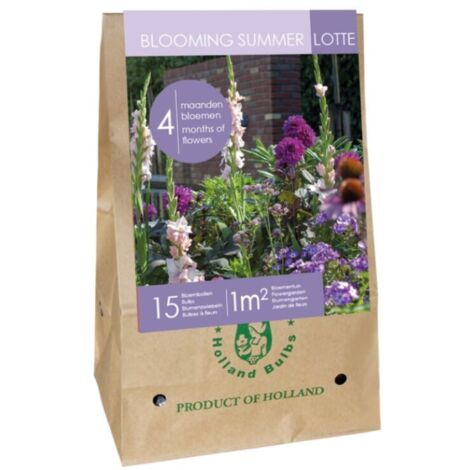 Mix Bulbes fleurs été Mauves