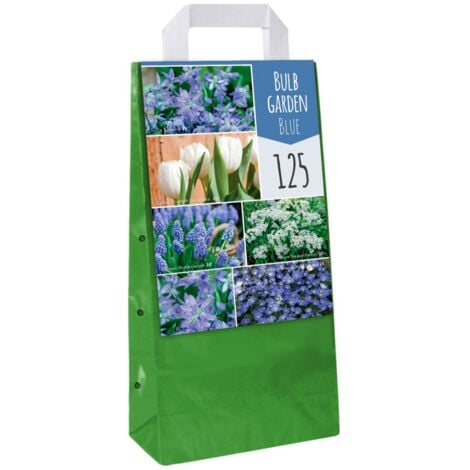 JUB Mix de 125 Bulbes bleus pour le jardin