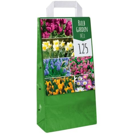 JUB Mix de 125 Bulbes pour le jardin Multicolore