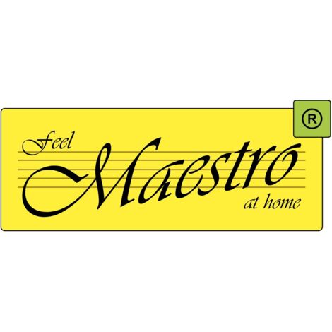 Mixer ad immersione Maestro MR-564 300W Nero [MR-564]